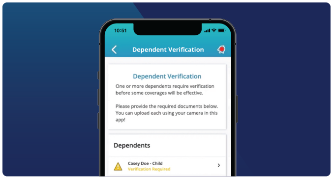 23-02_Annual-Snapshot_Graphics_Dependent-Verification