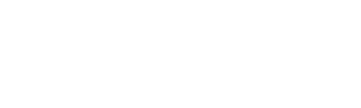 Vision2020_logo (1)_white